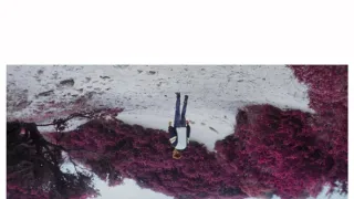 Komu patří můj život
