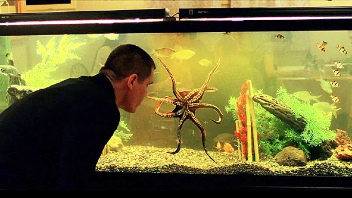 Oldboy (OLDBOY), 2013 - fotogaléria