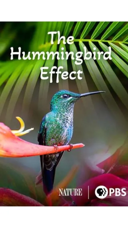 Létající drahokamy (The Hummingbird Effect), 2023 - fotogaléria
