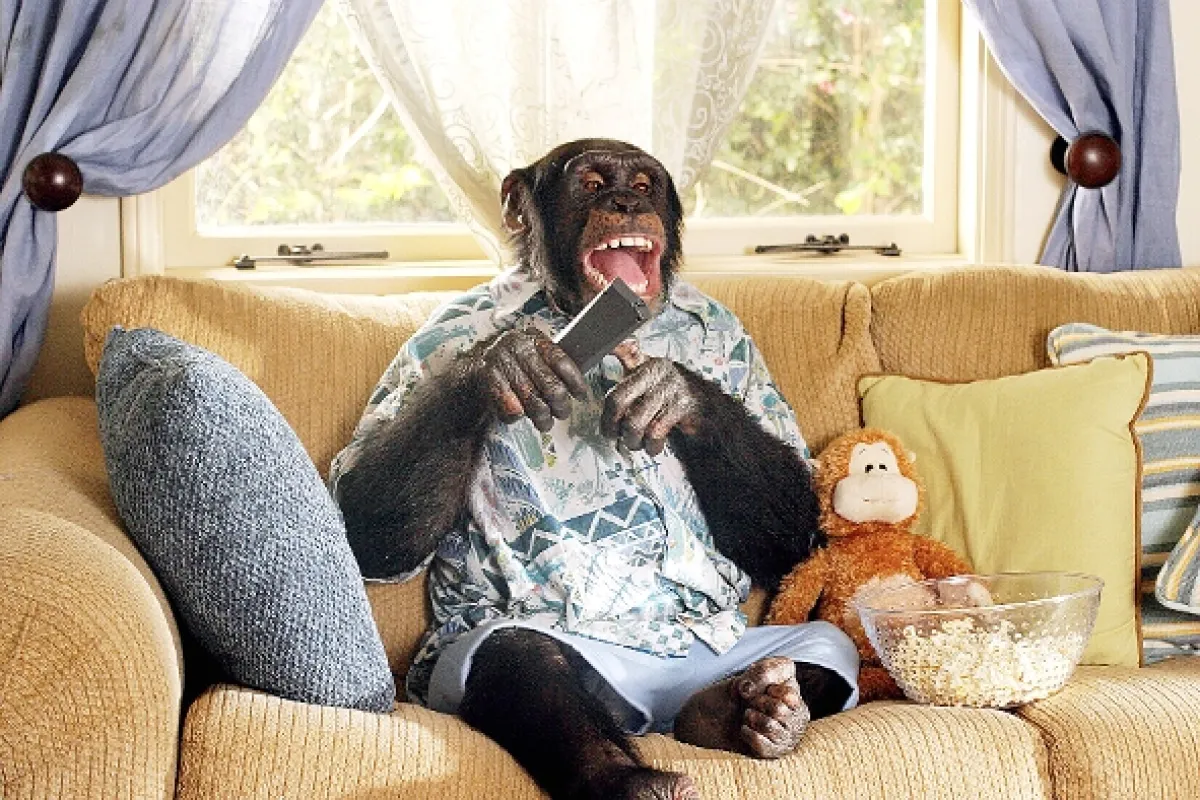 Opičí agent (Funky Monkey), 2003 - fotogaléria