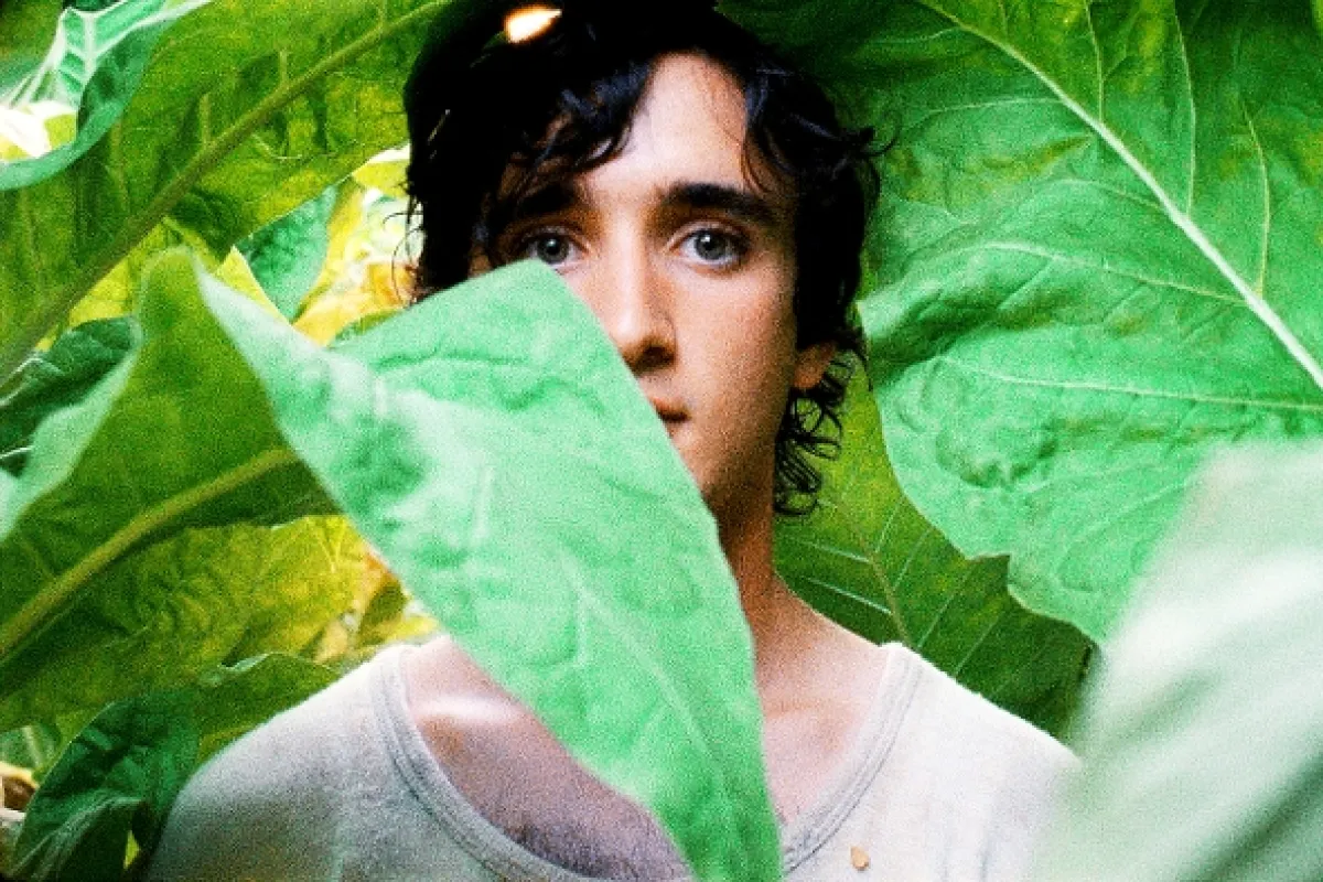 Šťastný Lazzaro (Lazzaro felice), 2018 - fotogaléria