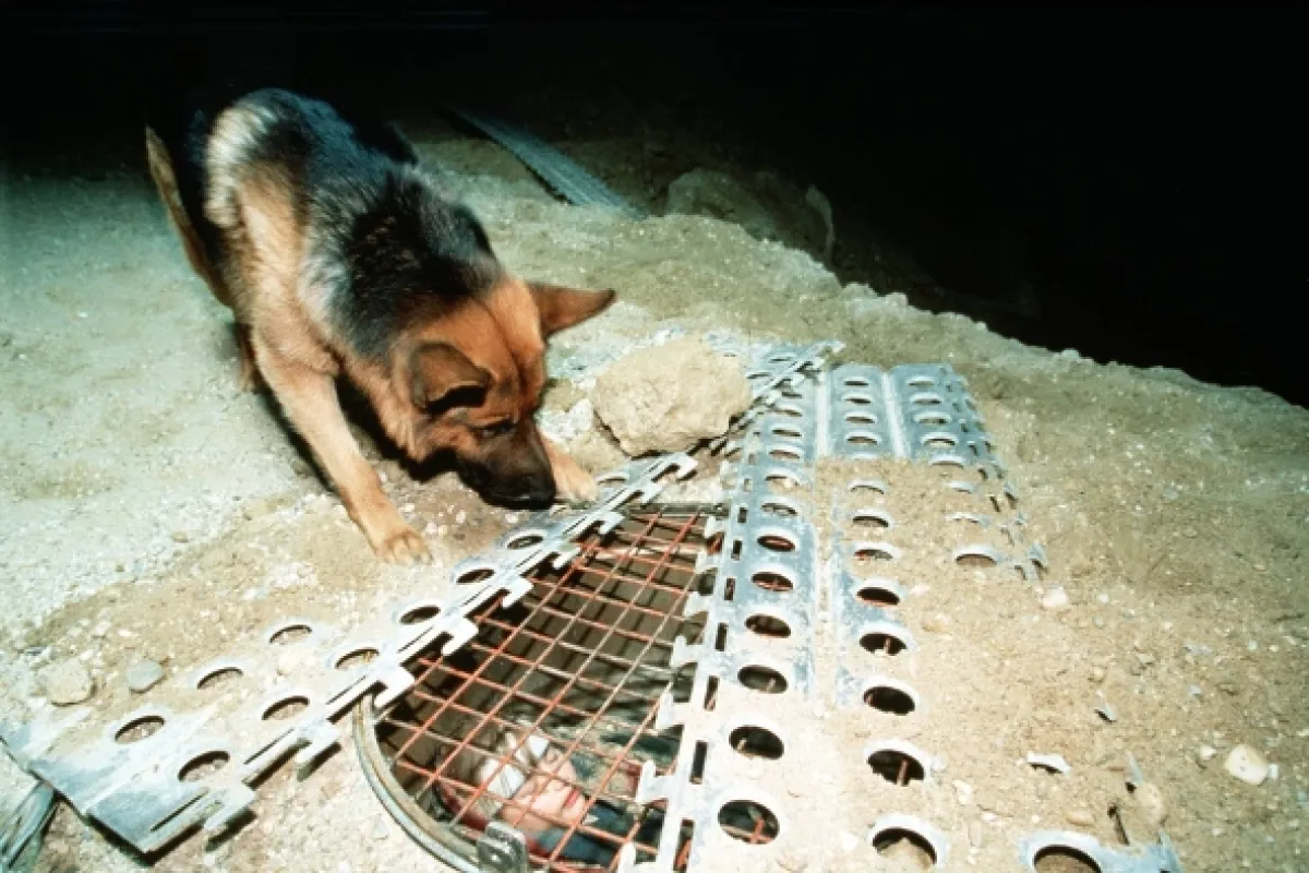 Rex felügyelő (Kommissar Rex VII), 2002 - fotogaléria