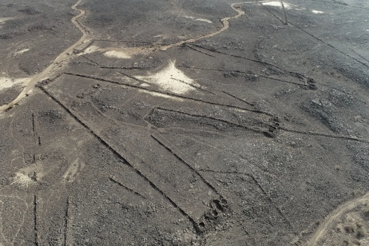 Hledání zapomenutého písma (Á la recherche de l’’écriture oubliée), 2022 - fotogaléria