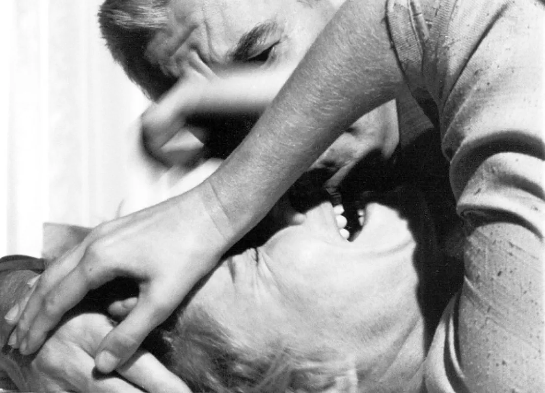 Persona, 1966 - fotogaléria