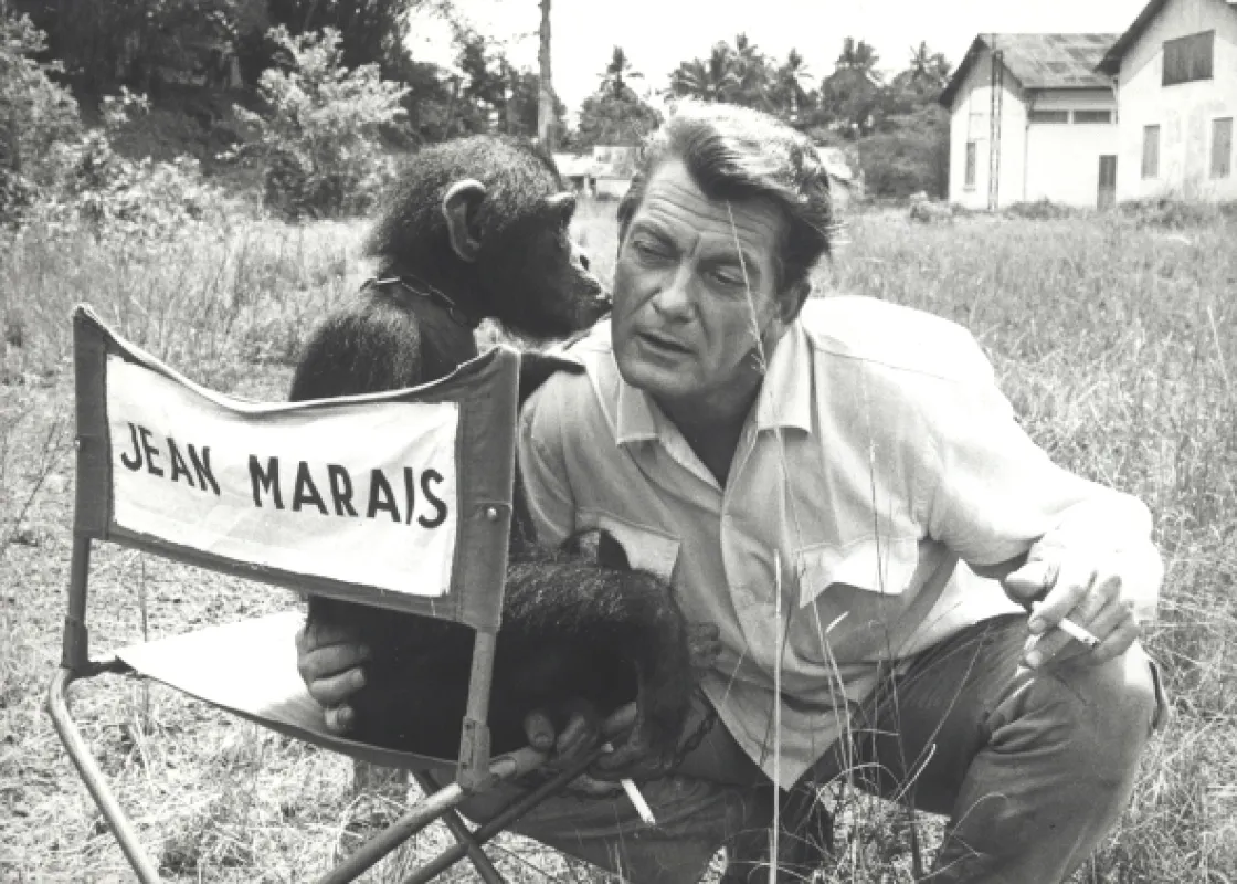 Gentleman z Cocody (Gentleman de Cocody, Le), 1965 - fotogaléria