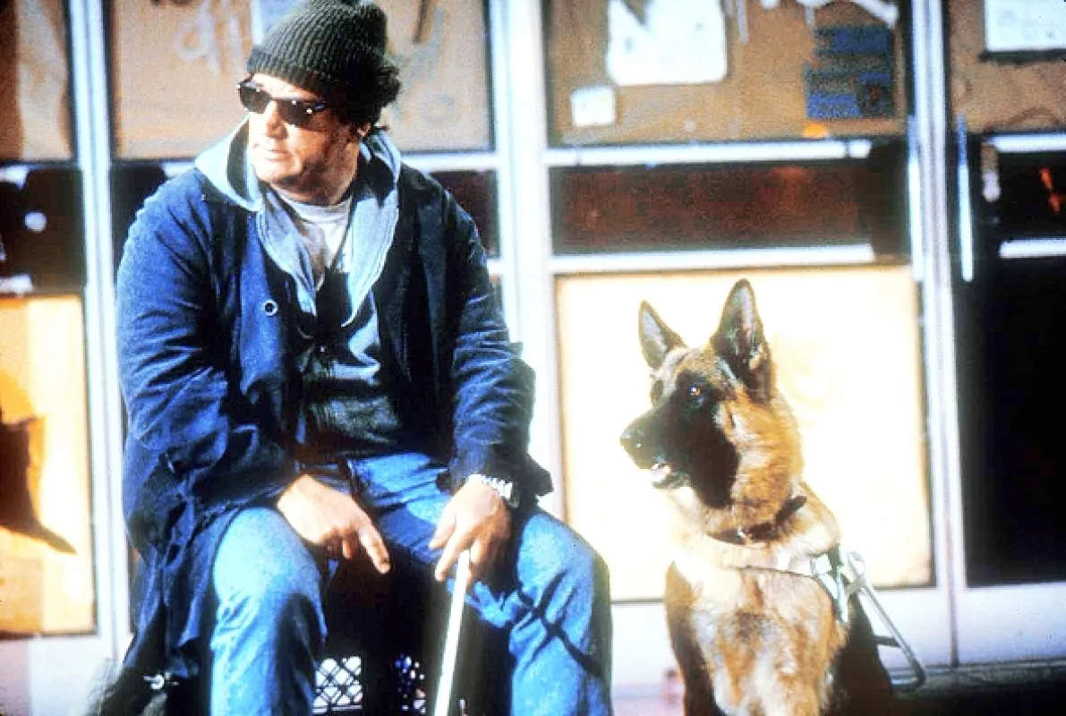 K-9: Soukromý detektiv (K-9: P.I.), 2002 - fotogaléria