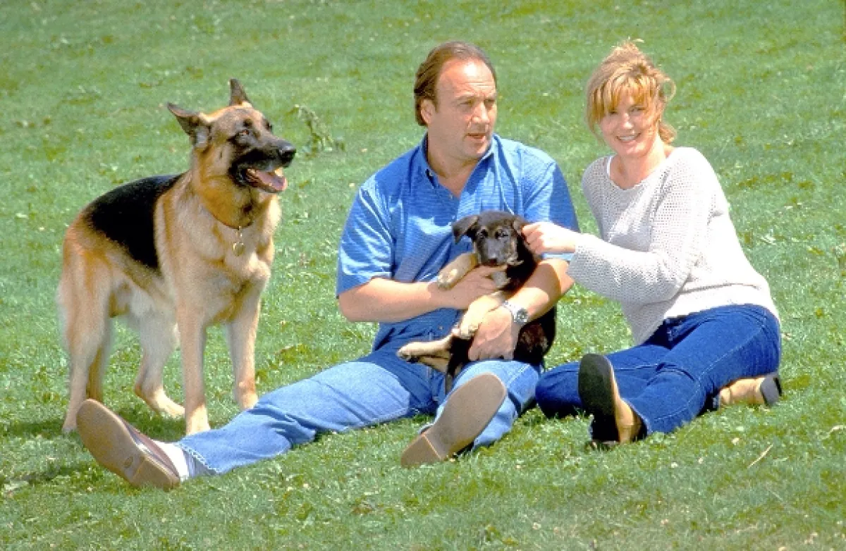K-9: Soukromý detektiv (K-9: P.I.), 2002 - fotogaléria