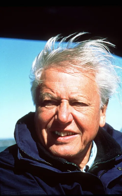 David Attenborough: Život savců, 2002 - fotogaléria