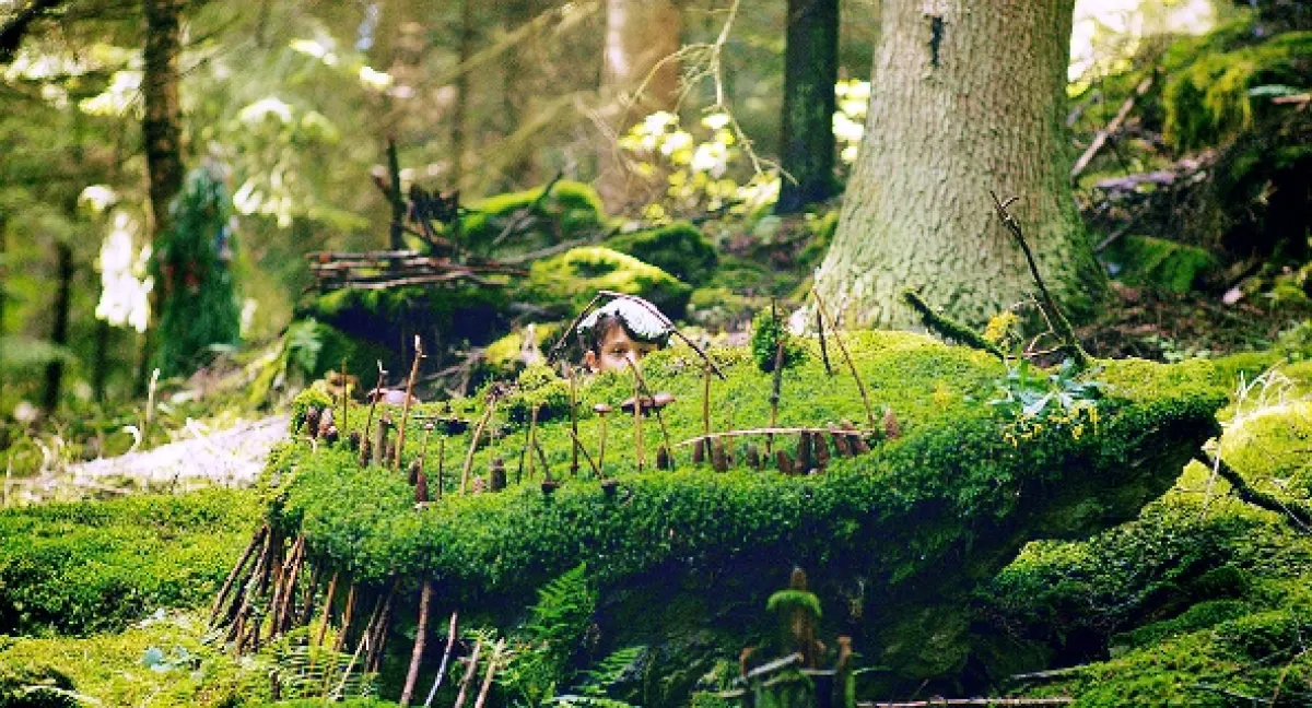 Mazel a tajemství lesa (Martin and the Magical Forest), 2021 - fotogaléria
