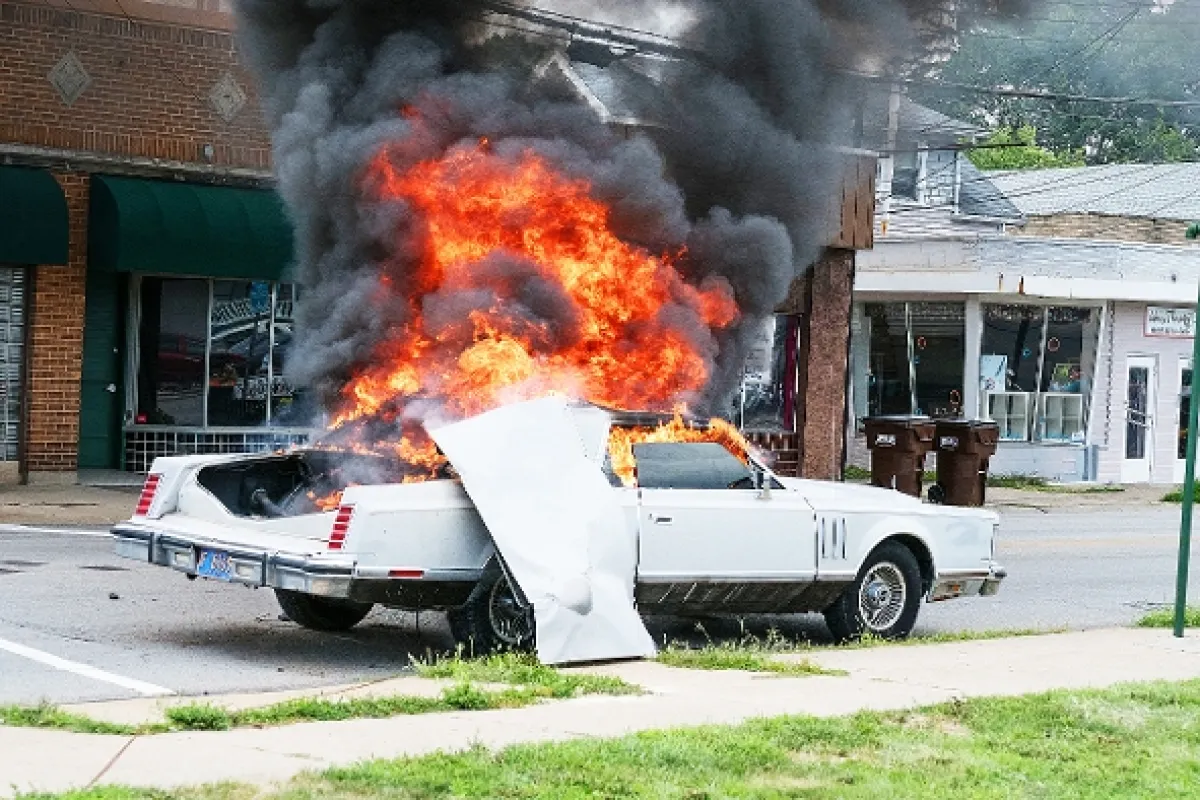 Gotti, 2018 - fotogaléria