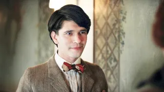 Dánske dievča