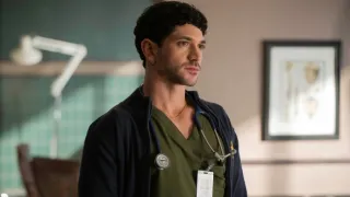 Dr. Wolf II (6)