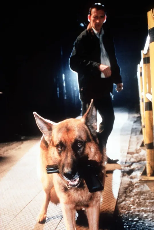 Rex felügyelő (Kommissar Rex VIII), 2003 - fotogaléria