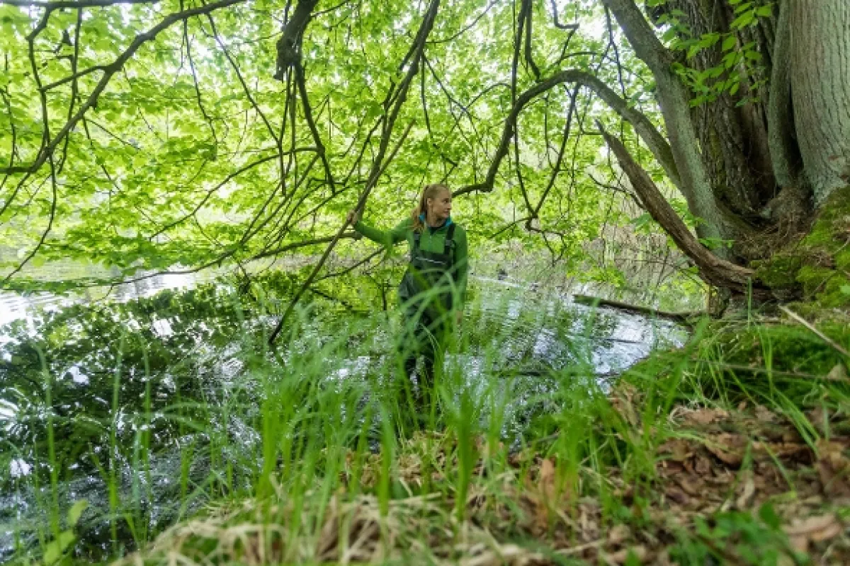 Magické hlubiny, 2022 - fotogaléria