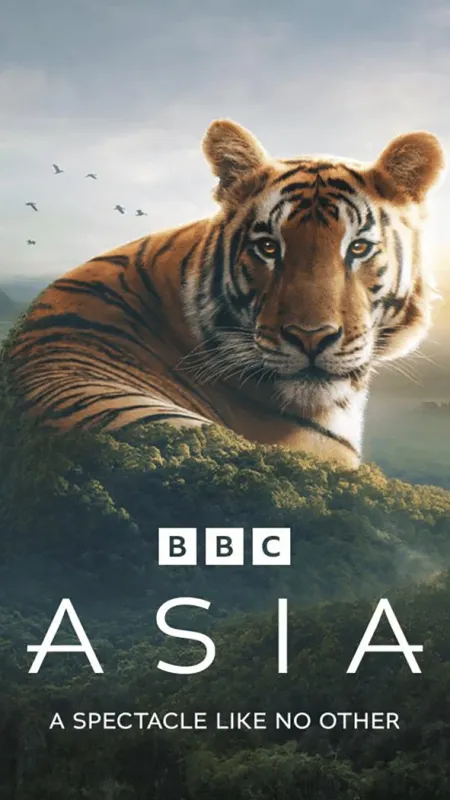 Zázračná Asie, 2024 - fotogaléria