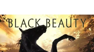 Krasavec Beauty