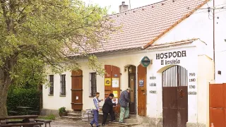 Nejlepší trapasy