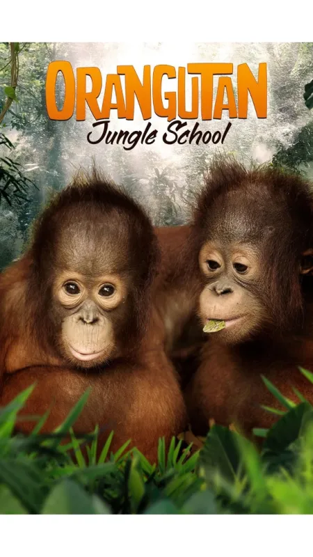 Orangutaní škola v džungli, 2019 - fotogaléria