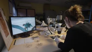 Notre-Dame: Co se skrývá v podzemí?