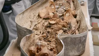 Notre-Dame: Co se skrývá v podzemí?