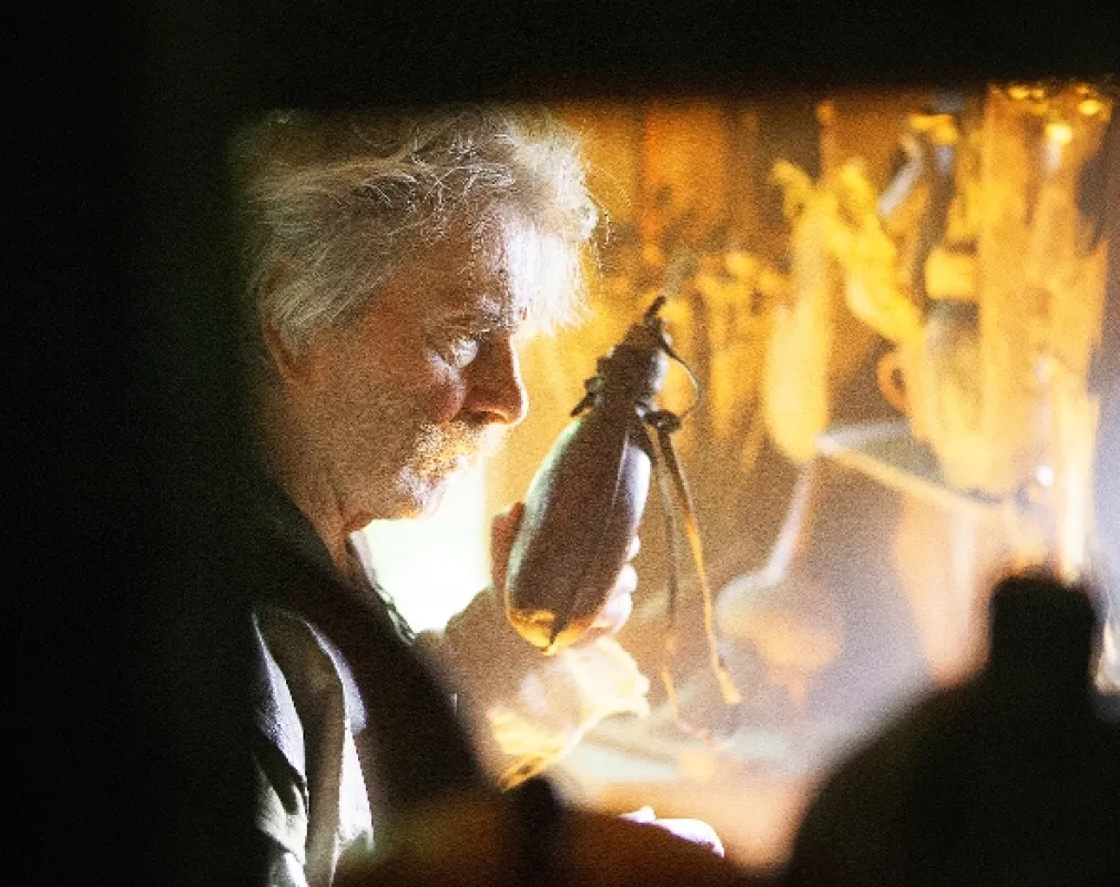 Korunní princ, 2015 - fotogaléria