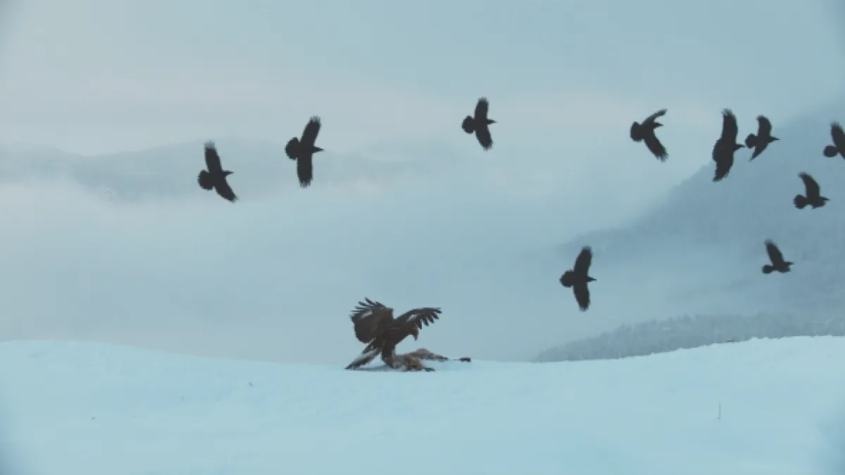 Nevlídná planeta, 2019 - fotogaléria