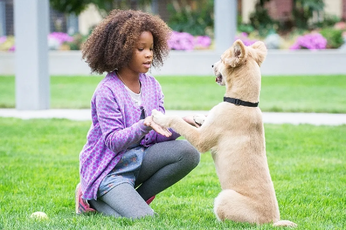 Annie, 2014 - fotogaléria