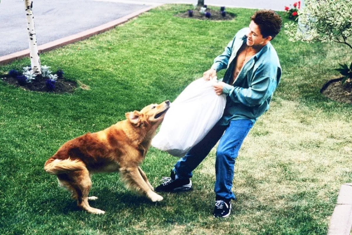 Veľký záťah (The Big Hit), 1998 - fotogaléria