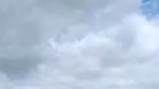 Pesticídy: Európske pokrytectvo
