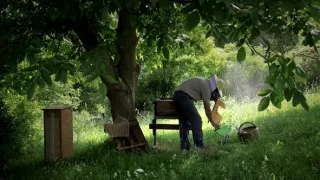 Všetko dobre dopadne