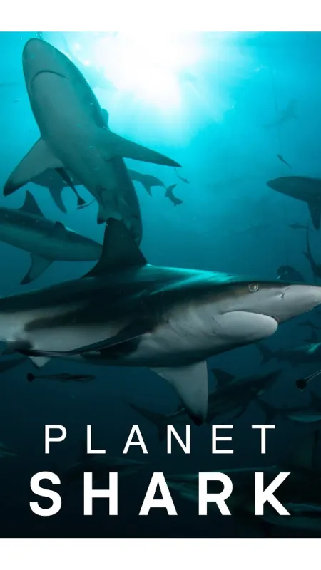 Planeta žraloků (Planet Shark), 2022 - fotogaléria