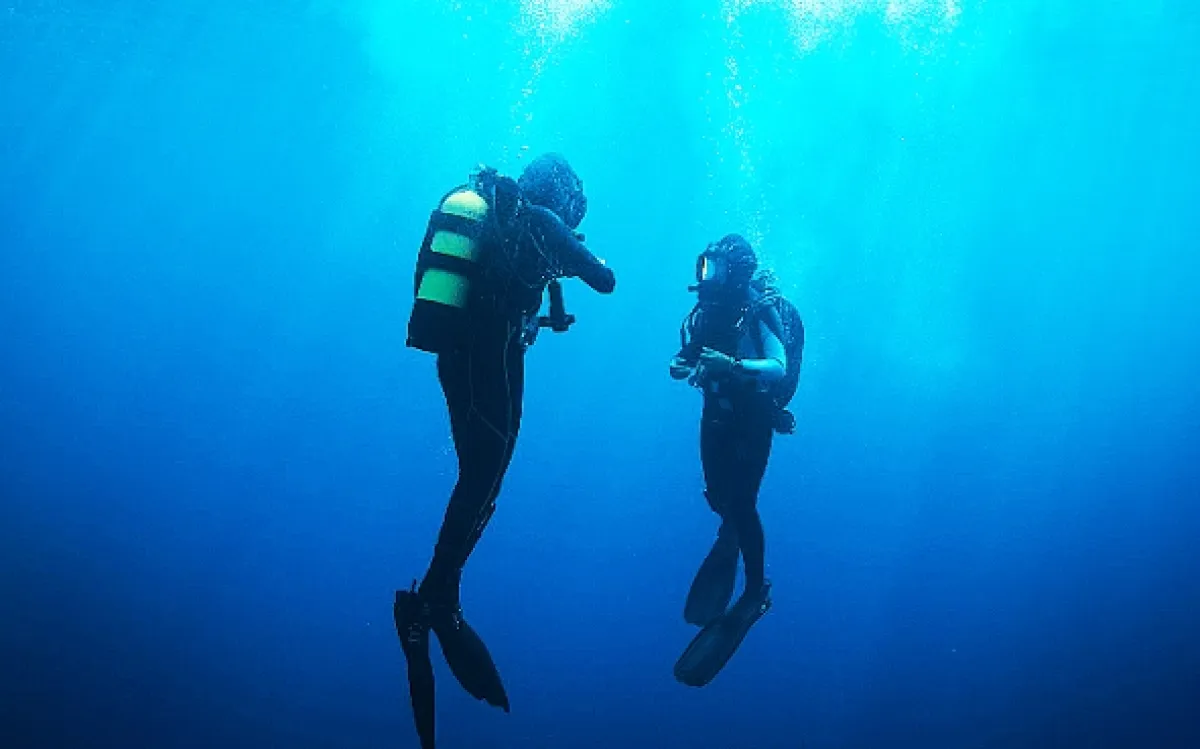 Ve spárech mořských hlubin (The Dive), 2023 - fotogaléria