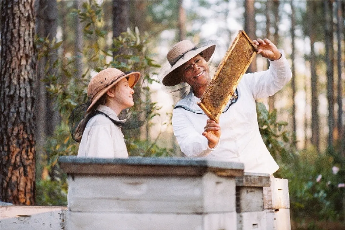 Tajný život včel (Secret Life Of Bees, The), 2008 - fotogaléria