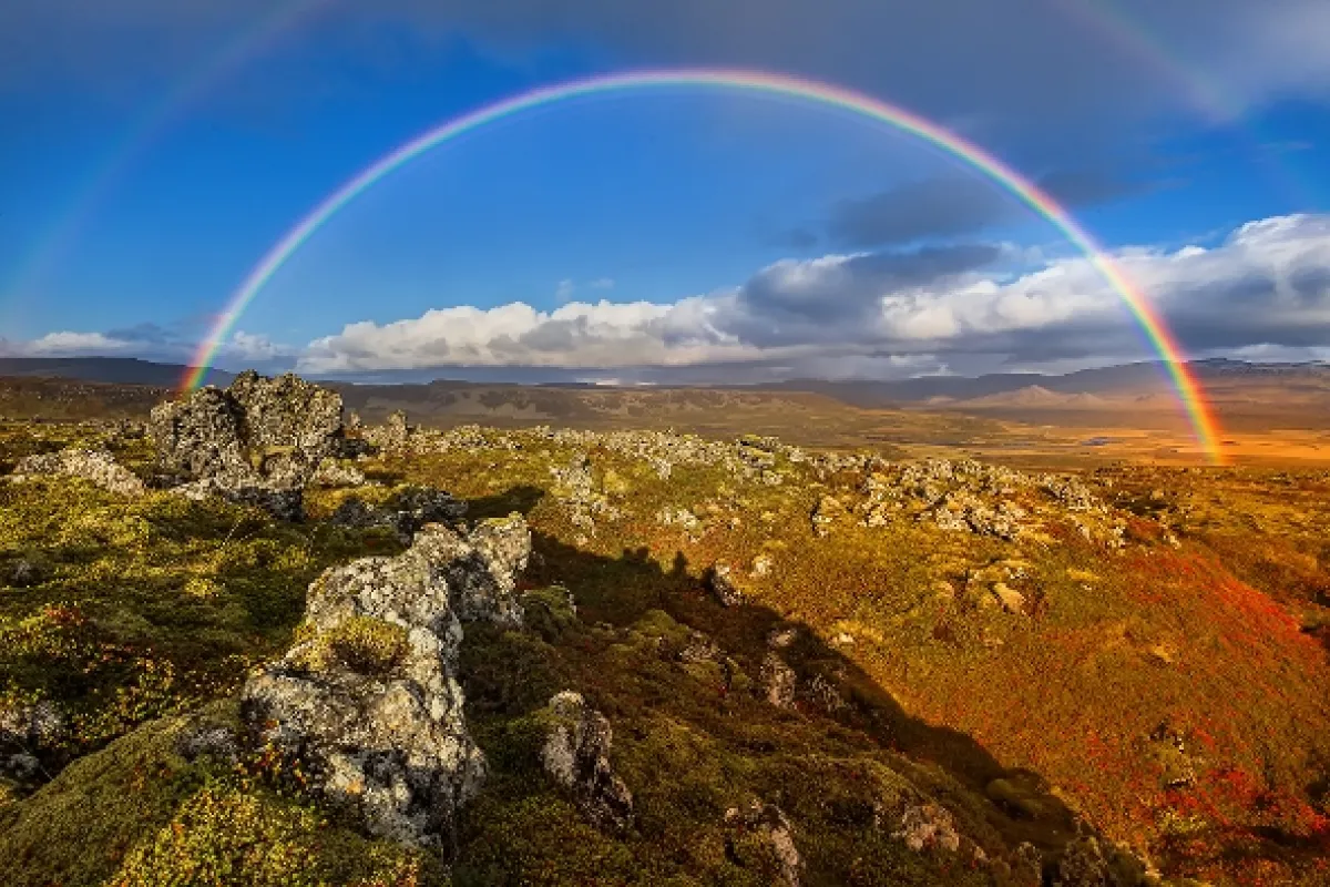 Srdcaři na severu, 2020 - fotogaléria