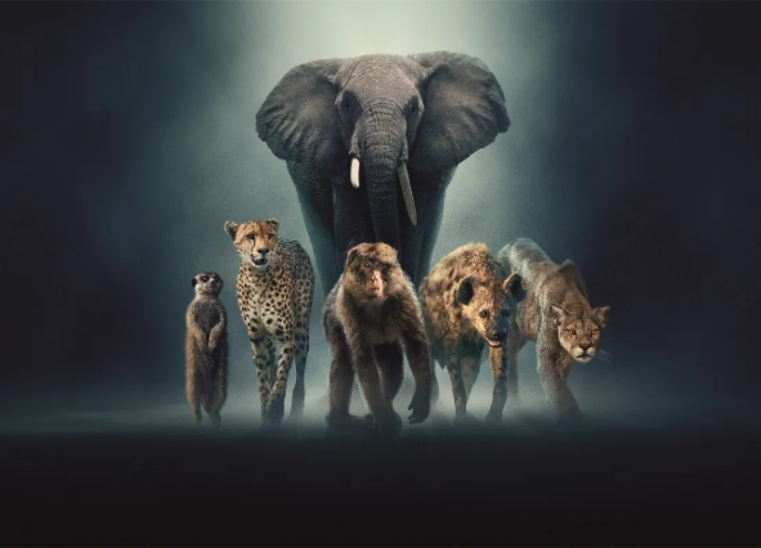 Zvieracie dynastie (Dynasties), 2022 - fotogaléria