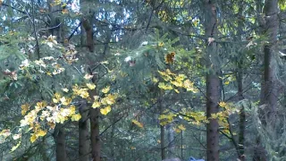 Tajemství železnic (7)
