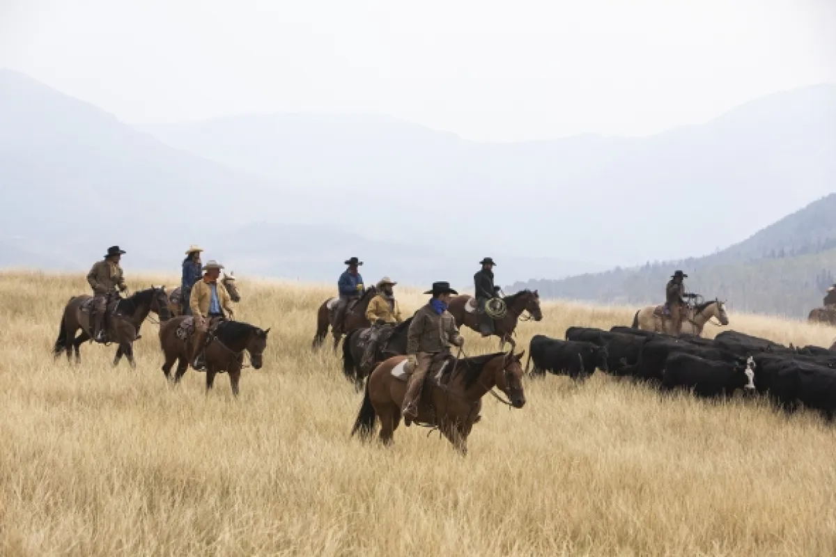 Yellowstone, 2019 - fotogaléria