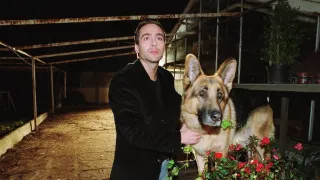 Rex felügyelő IX (8)