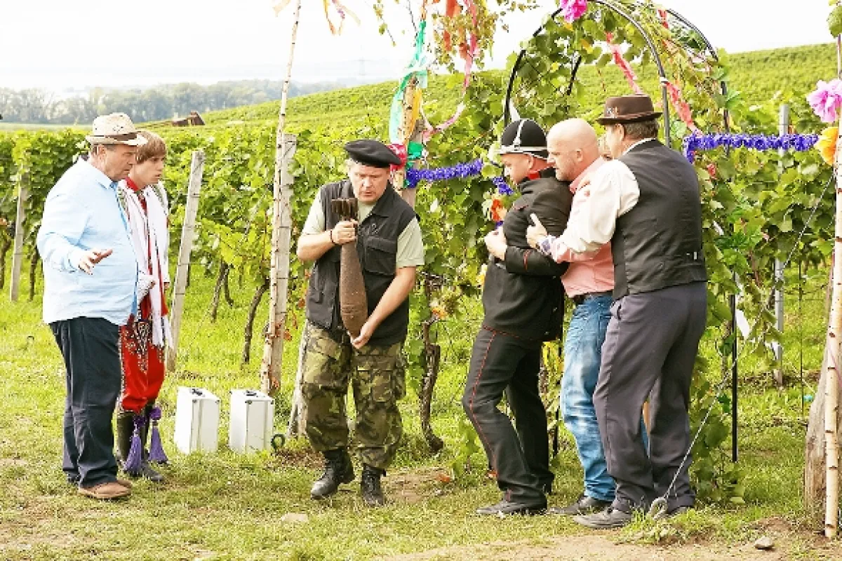 Vinaři, 2014 - fotogaléria