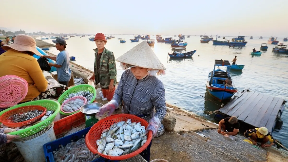 Jižní Vietnam, tisíc tváří Asie - fotogaléria