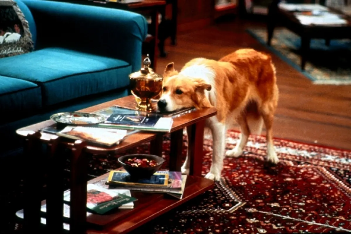 Jsem do tebe blázen (Mad About You I), 1992 - fotogaléria