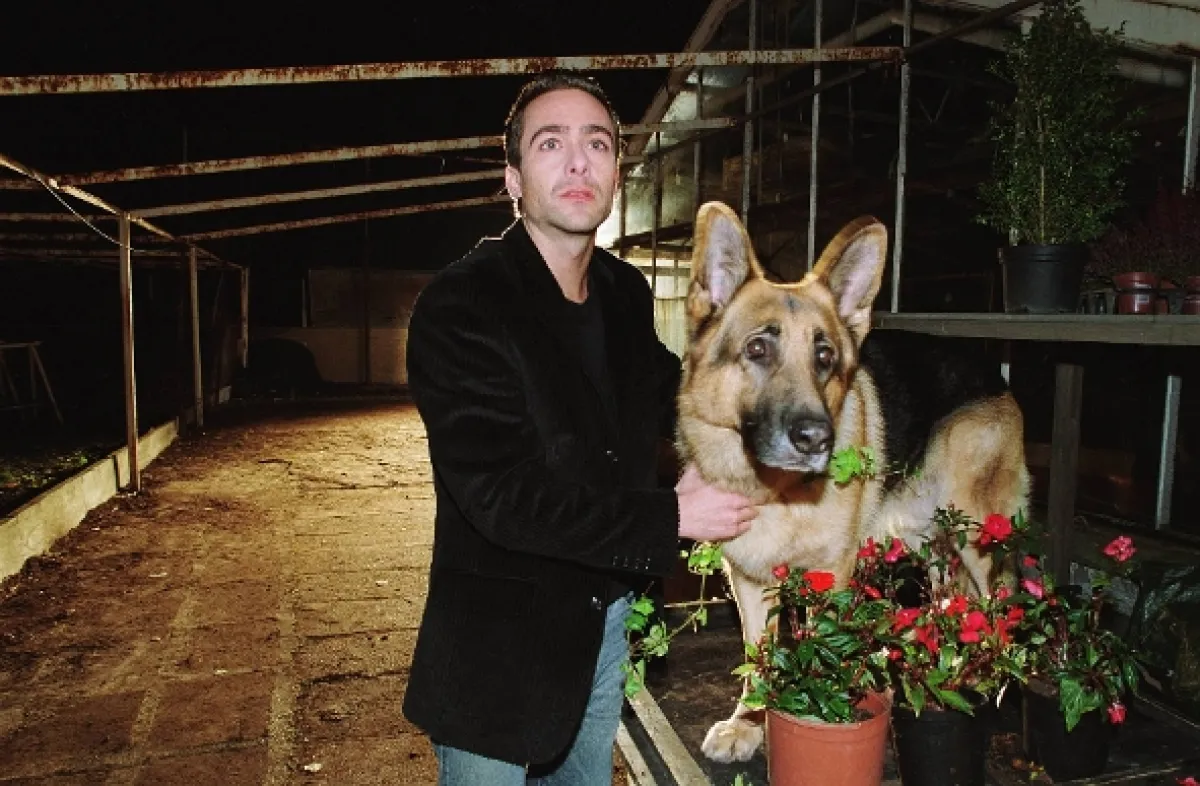 Rex felügyelő (Kommissar Rex IX), 2008 - fotogaléria