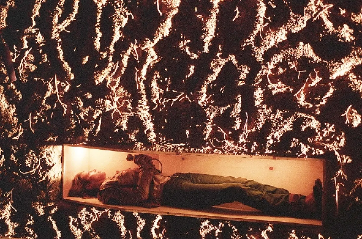 Kill Bill 2 (Kill Bill: Vol. 2), 2003 - fotogaléria