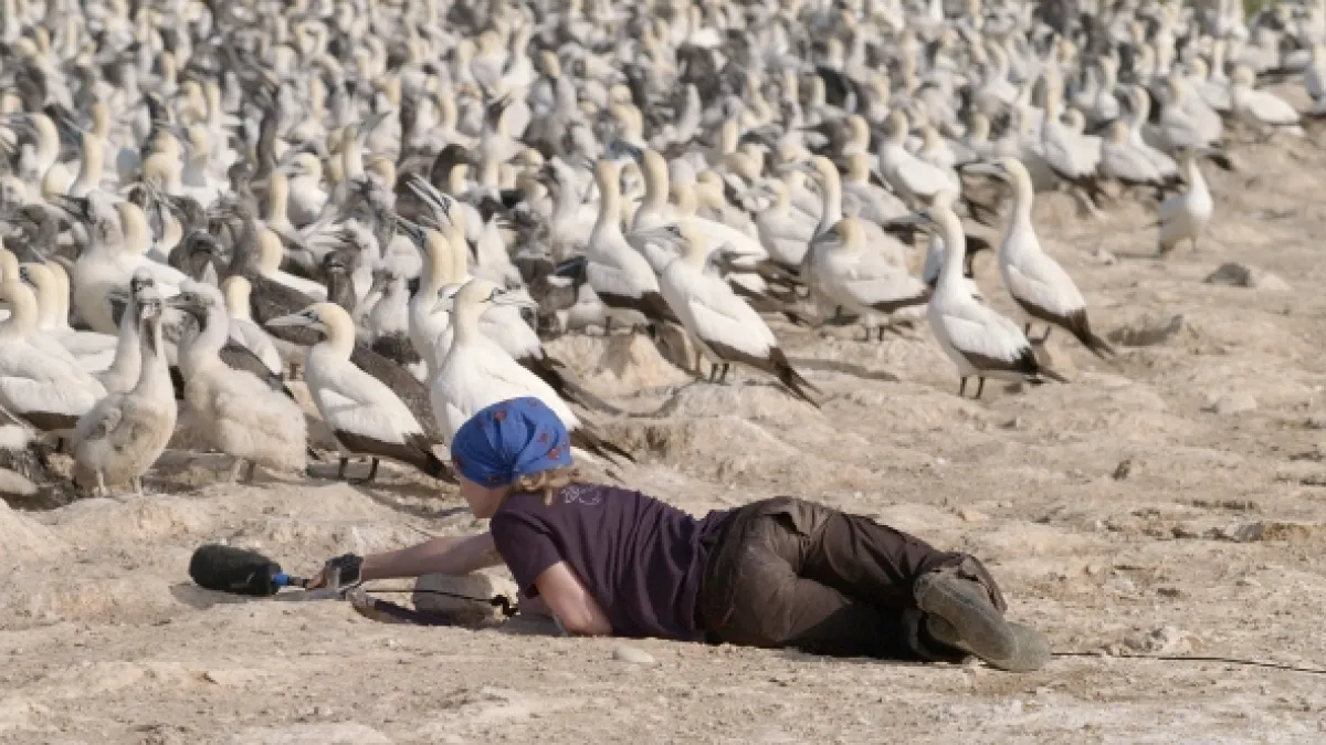 Jak zní příroda (Á l’écoute de la Nature), 2019 - fotogaléria