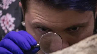 Giganti přírody