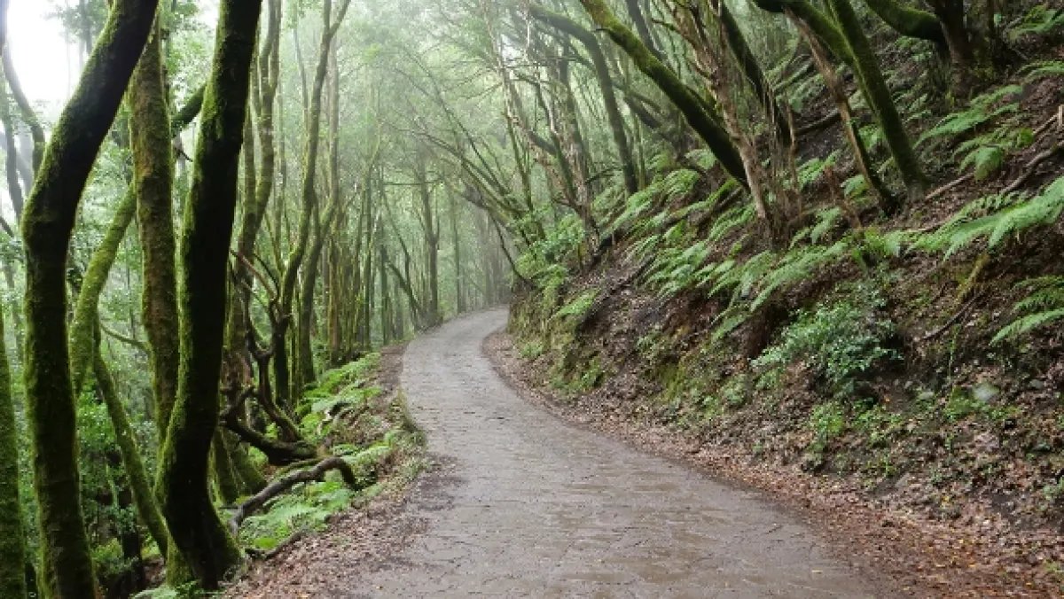 Na cestě po kanárské La Gomeře a El Hierru, 2021 - fotogaléria