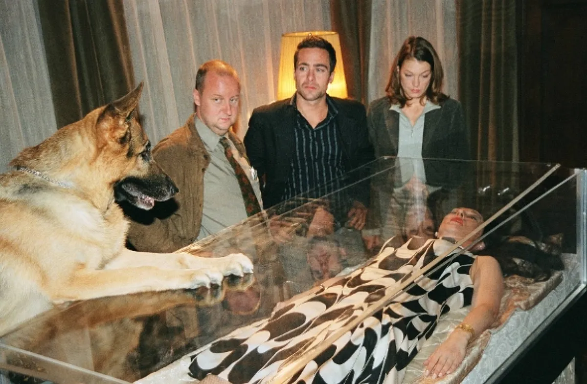 Rex felügyelő (Kommissar Rex IX), 2008 - fotogaléria