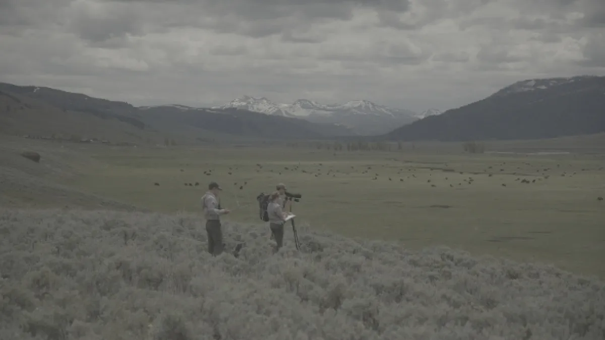 Znovuzrozená divočina Skalnatých hor: Od Yellowstonu k Yukonu - fotogaléria