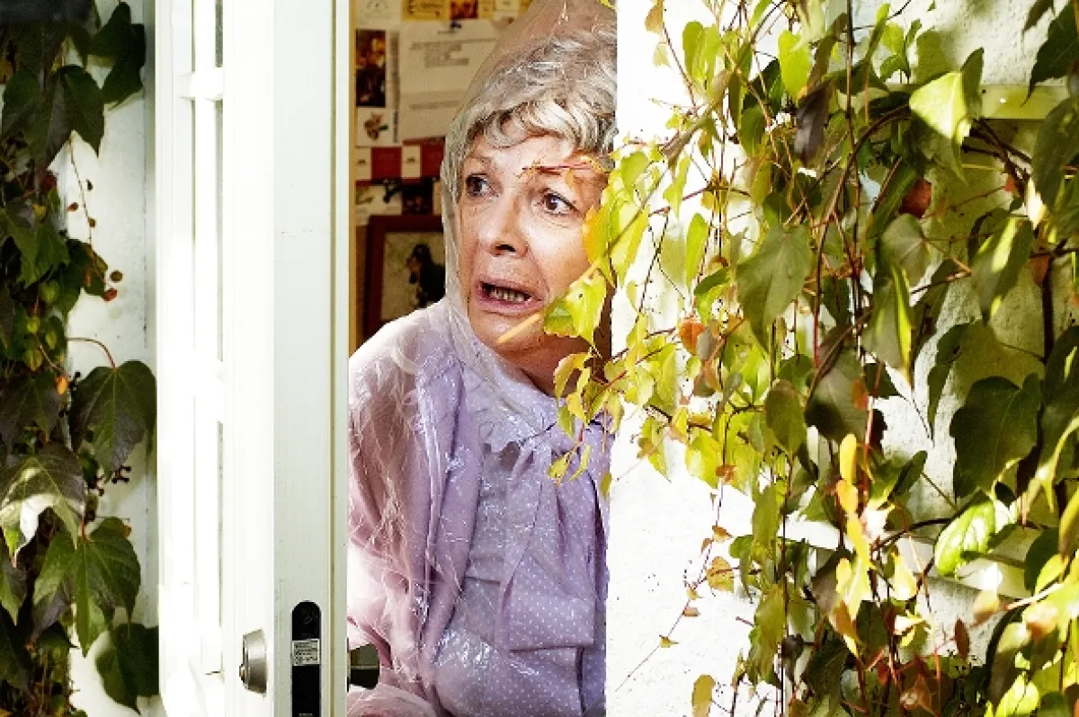 Všechno nejlepší!, 2006 - fotogaléria