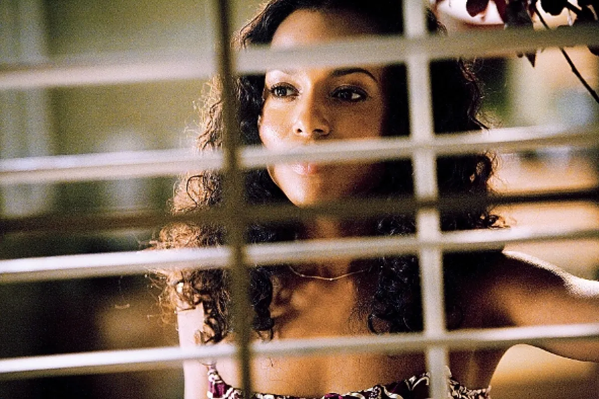 Nebezpečný sused (Lakeview Terrace), 2008 - fotogaléria